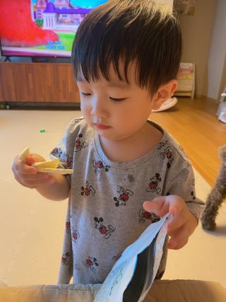 동결건조 과일칩 이치비야 4종 set — 5점을 준 리뷰어가 2021년 9월 올린 사용 사진