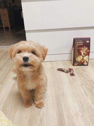 말라님이 올린 리뷰 사진 1
