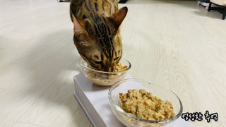 엉성님이 올린 리뷰 사진 2