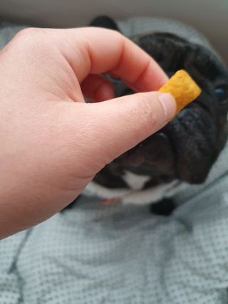 지나바람님이 올린 리뷰 사진 3
