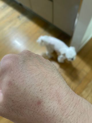 마이츄님이 올린 리뷰 사진 1