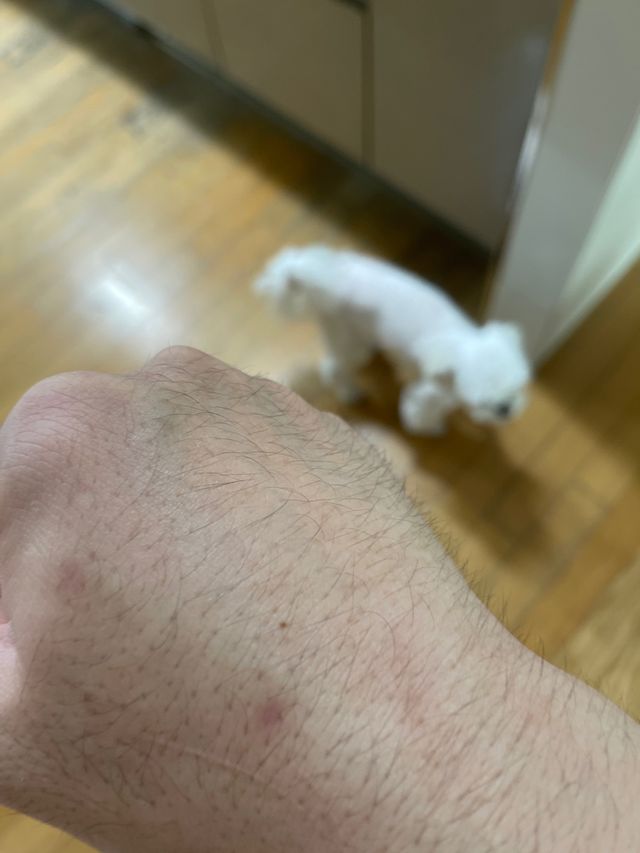 띵코 콜라겐 리턴 앰플 리뷰 사진