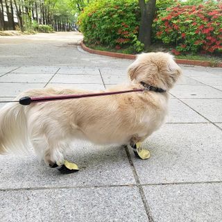 PDKIM님이 올린 리뷰 사진 3