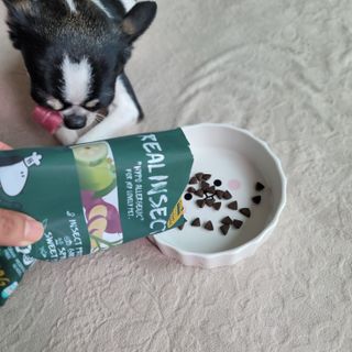 [푸디웜] 라포그  리얼인섹트 웨이트밸런스 저알러지 강아지 사료  1.2KG — 5점을 준 리뷰어가 2022년 7월 올린 사용 사진