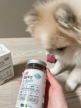 랩솔루션 강아지 영양제 3종 중 택 1 — 5점을 준 리뷰어가 2022년 5월 올린 사용 사진