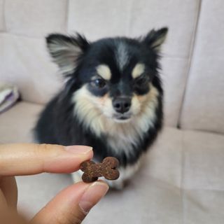 럭키도키님이 올린 리뷰 사진 3