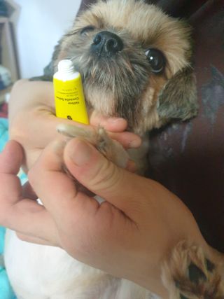 보리엄마님이 올린 리뷰 사진 3