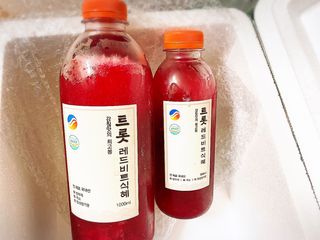 트롯전통식혜 트롯레드비트식혜 1리터 +500리터 — 5점을 준 리뷰어가 2021년 6월 올린 사용 사진