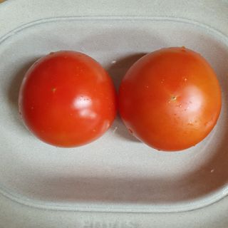 레드닥터 완숙토마토 + 통째로 동결건조한 대추방울토마토 — 4.5점을 준 리뷰어가 2022년 12월 올린 사용 사진