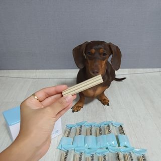 페페로니 클린플러스 덴탈치킨껌 10g x 14p — 4.5점을 준 리뷰어가 2021년 7월 올린 사용 사진