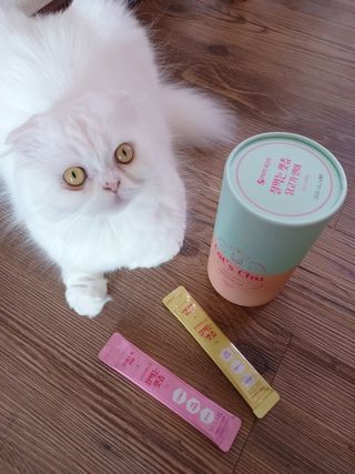 페페로니 잘 먹는 캣츄 - 무항생제 닭고기 12개 + 알래스카 연어 12개 — 5점을 준 리뷰어가 2021년 7월 올린 사용 사진