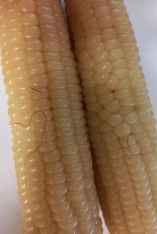 torymami님이 올린 리뷰 사진 3