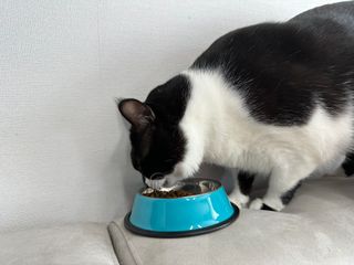 한화핫도그녀님이 올린 리뷰 사진 3