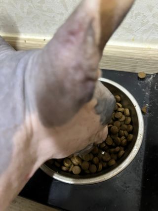 narihalmany님이 올린 리뷰 사진 4