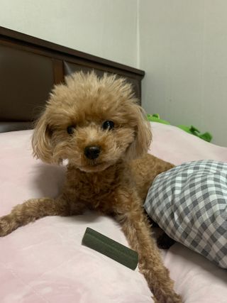 메리츠화재 박새라님이 올린 리뷰 사진 1