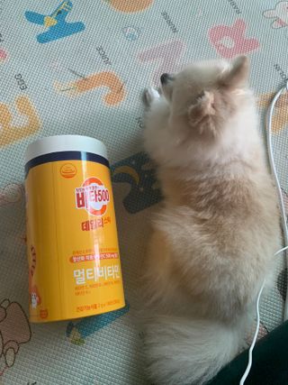 광동생활건강 프리 [광동] VB와 VC를 함유한 멀티 비타민 비타 500 데일리 스틱 180포 — 5점을 준 리뷰어가 2022년 6월 올린 사용 사진
