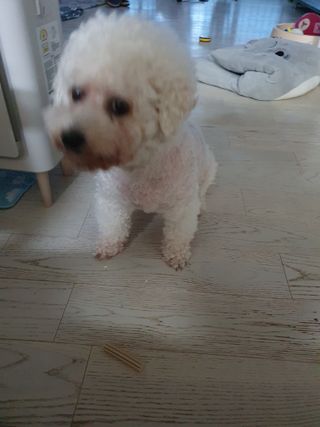 KAY님이 올린 리뷰 사진 1