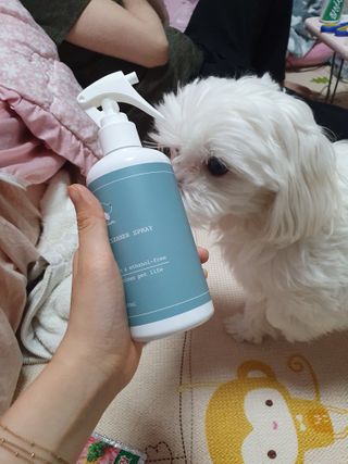 노지혜님이 올린 리뷰 사진 2