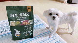 [푸디웜] 라포그  리얼인섹트 웨이트밸런스 저알러지 강아지 사료  1.2KG — 5점을 준 리뷰어가 2021년 7월 올린 사용 사진