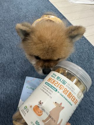 쭈야님이 올린 리뷰 사진 2