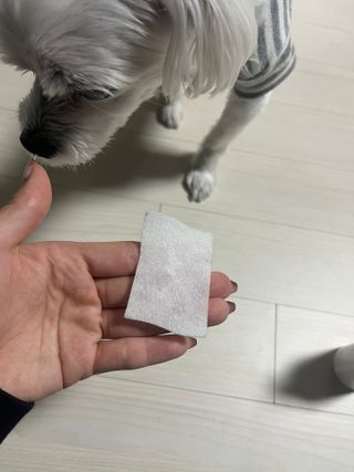 [댕모어 클리너 3종] 아이클리너 / 이어클리너 / 덴탈클리너 3종 세트 (120ml) — 5점을 준 리뷰어가 2023년 11월 올린 사용 사진