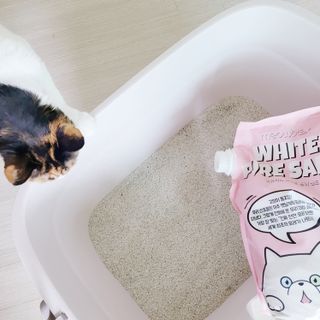 [미유박스] 화이트 퓨어 샌드 6kg — 5점을 준 리뷰어가 2024년 6월 올린 사용 사진