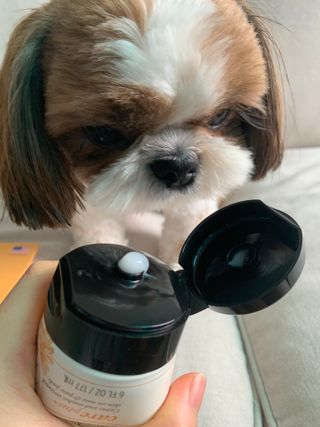 박코끼리님이 올린 리뷰 사진 3