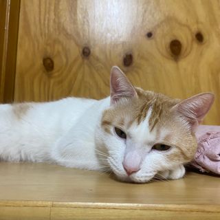 양블리님이 올린 리뷰 사진 3