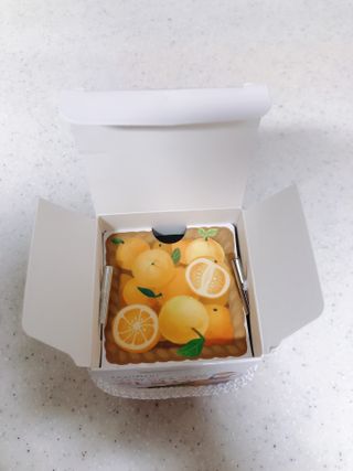 설레나님이 올린 리뷰 사진 4