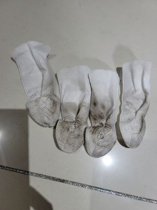 코보콩 에어슈즈 강아지 일회용 신발 소용량 패키지 20매 초경량  미끄럼방지 실내외 겸용 — 4.5점을 준 리뷰어가 2022년 3월 올린 사용 사진