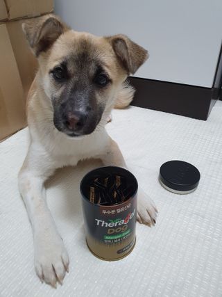 발라당님이 올린 리뷰 사진 1