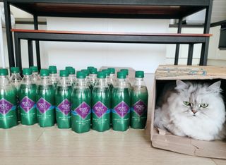 또이맘님이 올린 리뷰 사진 1