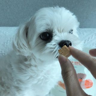 torius님이 올린 리뷰 사진 1