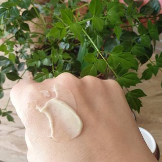 비니워니님이 올린 리뷰 사진 2