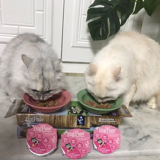 fively님이 올린 리뷰 사진 3