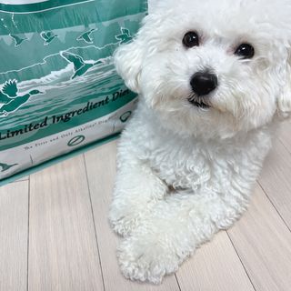 캐닌캐비어 알카라인 홀리스틱 그레이프리 앙뜨레 ALS_4종 오픈스카이, 와일드오션, 프리스피릿, 스페셜니즈 — 5점을 준 리뷰어가 2023년 2월 올린 사용 사진