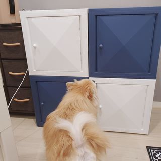좋아님이 올린 리뷰 사진 4