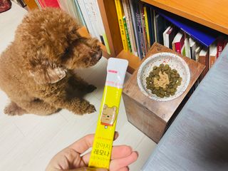 RiaJung님이 올린 리뷰 사진 4