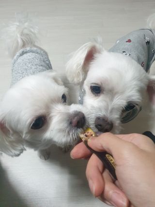 고롸고롸고롸님이 올린 리뷰 사진 3
