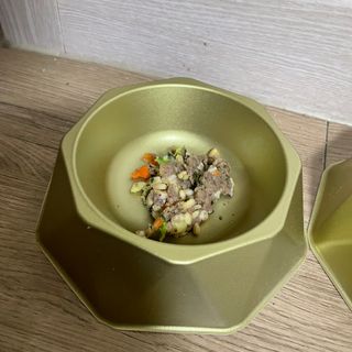 씽크라이크펫 강아지 화식 (50g 소/닭/오리/양 1팩씩 4팩) — 5점을 준 리뷰어가 2023년 1월 올린 사용 사진