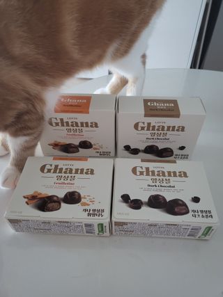 오둥이맘님이 올린 리뷰 사진 3