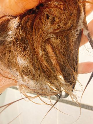 Arencia 아렌시아 솔티소다 샴푸바, 더 새틴 린스바 세트 — 4점을 준 리뷰어가 2021년 6월 올린 사용 사진