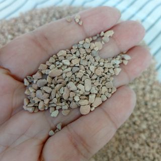 복순이님이 올린 리뷰 사진 1