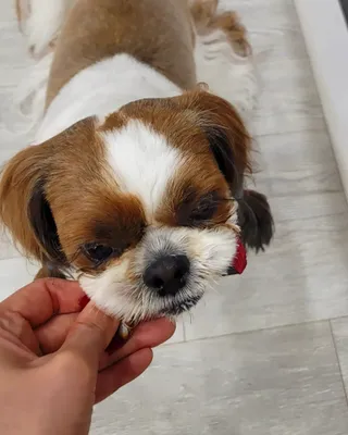 가루파랑님이 올린 리뷰 사진 3