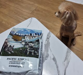 몽실맘님이 올린 리뷰 사진 2