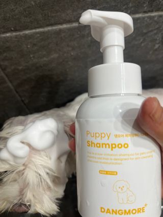 [댕모어 샴푸 2종] 댕샴푸 / 퍼피샴푸  2종 세트 (300ml) — 5점을 준 리뷰어가 2023년 9월 올린 사용 사진