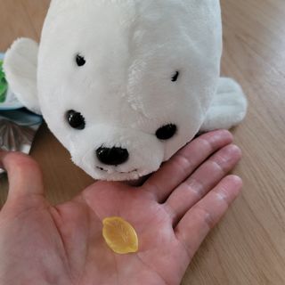 물끼님이 올린 리뷰 사진 3