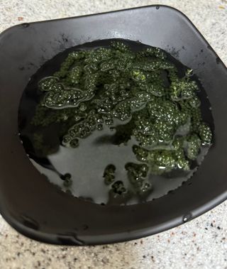 [피터씨마켓] 바다포도 100g(20g x 5봉) 우미부도 그린캐비어 ASMR 소분포장 — 3.5점을 준 리뷰어가 2024년 8월 올린 사용 사진