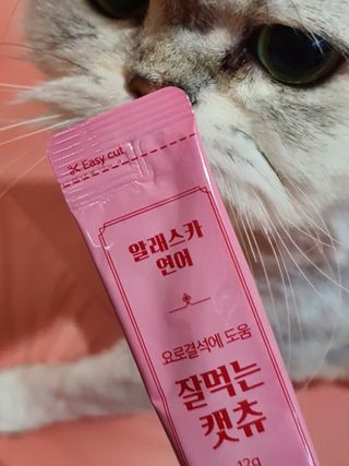 페페로니 잘 먹는 캣츄 - 알래스카 연어 24개입 — 5점을 준 리뷰어가 2021년 7월 올린 사용 사진