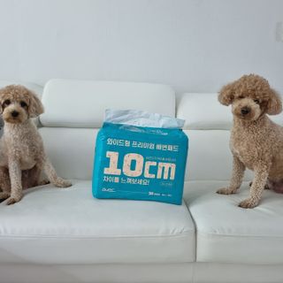아베크 펫 와이드 프리미엄 대형 애견 강아지 배변 패드 30매 1팩 80g — 5점을 준 리뷰어가 2021년 7월 올린 사용 사진
